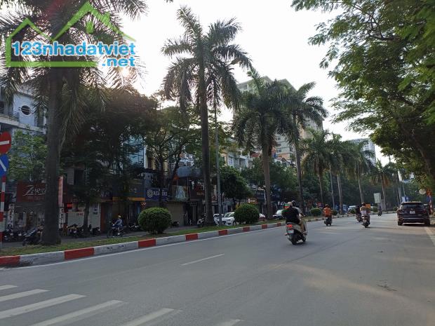 Đầu tư, mặt phố Nguyễn Khuyến, 120m2, MT6m xây Buiding 10 tầng tuyệt đẹp chỉ 210tr/m2 - 4