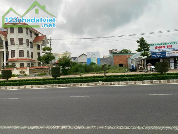 Bán 2 lô đất liền kề mặt tiền Đại Lộ Hùng Vương gần siêu thị Lotte giá rẻ nhất khu vực - 5
