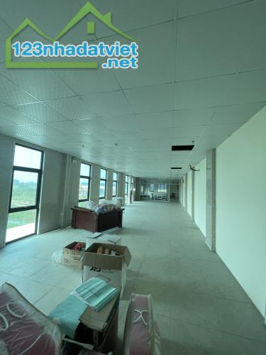 Cho thuê kho xưởng 3000m2 trong Cụm Công Nghiệp Hà Mãn Trí Quả Thuận Thành Bắc Ninh - 4