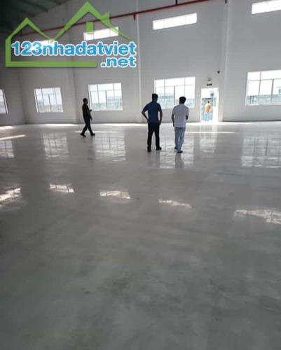 Cho thuê kho xưởng mới xây dựng trong KCN Bến Cát ,Bình Dương - 4