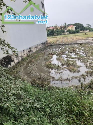 Cần bán lô đất mặt đường quốc lộ 47, Đông Vinh, Thành phố Thanh Hóa 125m2 gần cầu Đồng Sâm - 5