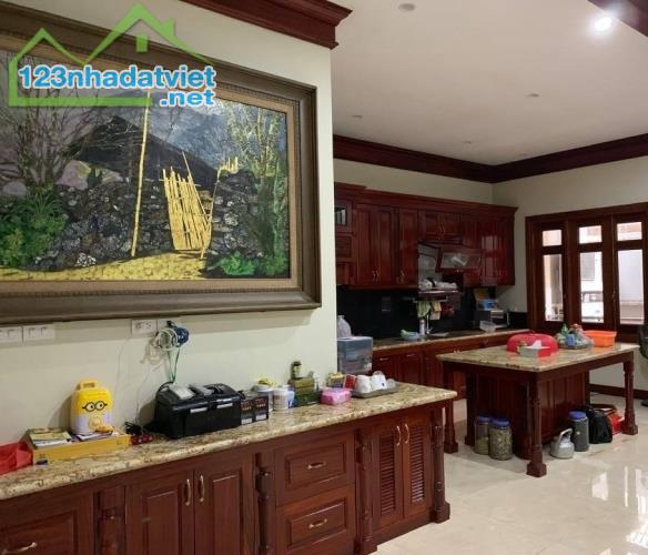 Bán nhà biệt thự đường đôi đô thị Xa La, Hà Đông, kinh doanh đỉnh nhỉnh 20 tỷ. - 3
