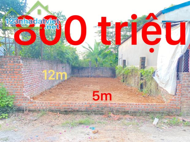 Bán gấp 60,9m2 Thôn 2 Thạch Hoà cách ĐH QG 900m giá chỉ 750 triệu - 1