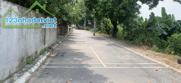 Bán GẤP 76m đất thôn Hội, Cổ Bi Gia Lâm_mặt tiền 4.5m,oto thông, 3 mặt thoáng, 3 tỷ - 1