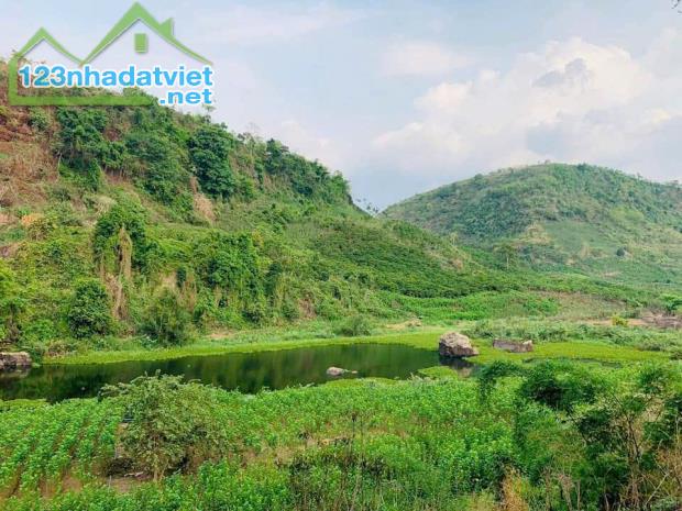 Cần bán mảnh đất diện tích lớn tại Lâm Đồng tặng thêm 6000m2 đất kinh doanh homestay - 4