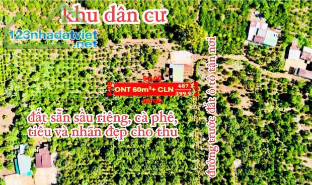 Bán Đất 8 x50 = 400m2 có 60 thổ Cư Đlieza, Krong Năng Giá 159tr - 2