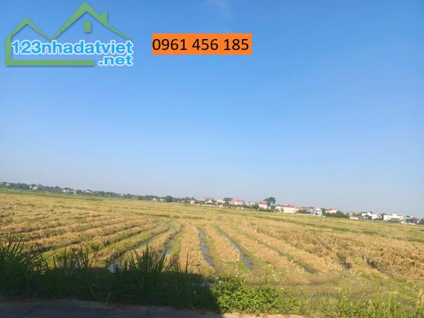 Bán đất Thắng, Hiệp Hoà, Bắc Giang 100m2, mt5m, Đường nhựa 8m. Quy hoạch Khu Dân Cư. 1,45