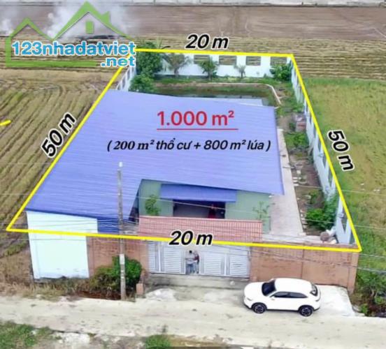 Nhà xưởng tổng dt 1000m2 An Thạnh, Bến Lức, Long An dt 1000m2 giá 7 tỷ - 2