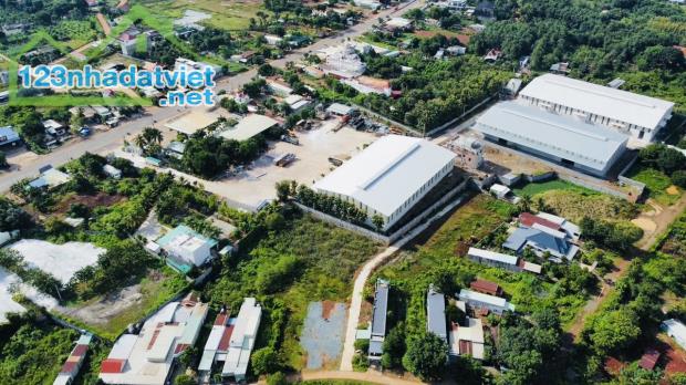 SANG LỖ 20X50=1000M2 ĐẤT THỔ CƯ SHR NGAY TRUNG TÂM THỊ  XÃ DÂN ĐÔNG KÍN GIÁ 290 TRIÊU - 2