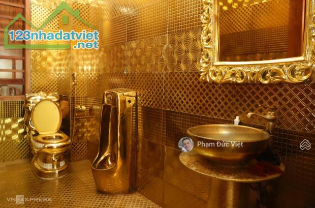 Bán biệt thự dát vàng Nguyễn Đình Chiểu Quận 1 - 299 tỷ 560m2 nở hậu kiến trúc sư người Ý - 3