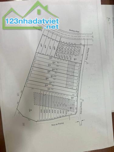 Cần bán 1,2 ha đã tách làm 34 sổ riêng có tổng 3000 mét vuông thổ cư.