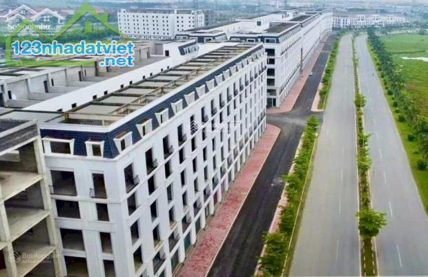 Chính chủ cần bán shophouse Cát Tường Smart City 80m2, giá siêu hấp dẫn - 2