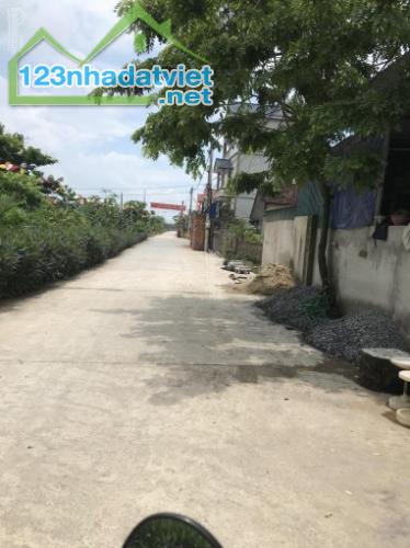 Bán 720m2 đất Chương Dương, Thường Tín. - 2