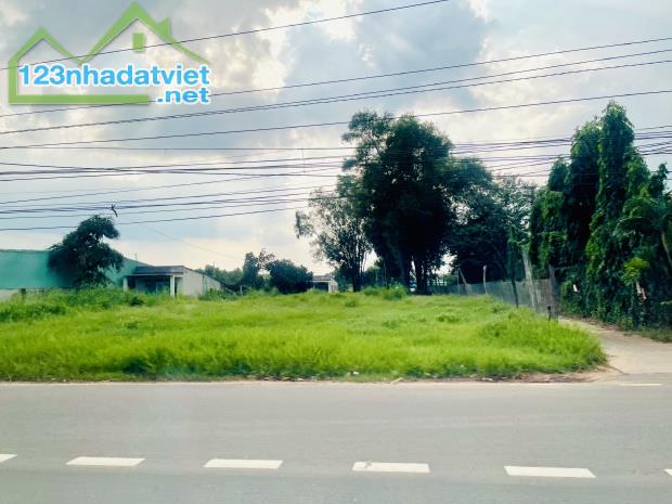 SANG LỖ 1000M2 ĐẤT VƯỜN MT ĐƯỜNG 24M CẠNH CHỢ ỦY BAN DÂN CƯ ĐÔNG GIÁ 190 TRIỆU - 5