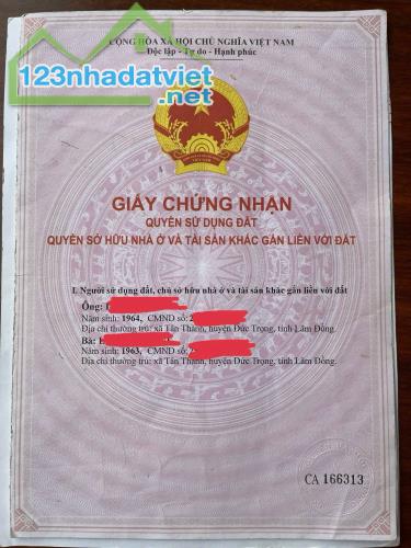 BĐS đất nền khai thác du lịch nông nghiệp lợi nhuận cao ở Đà Lạt - 2