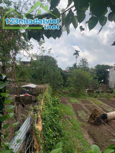 Bán đất Vĩnh Hưng-DT 40 m2,MT 4m-PHÂN LÔ-NGÕ Ô TÔ-VUÔNG VẮN-KO DÍNH QUY HOẠCH. - 3