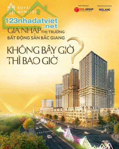 Bán Shophouse Dự Án Royal Mansion Vị Trí Độc Tôn, Trung Tâm Ngã 6 Bắc Giang. - 4