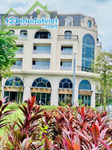 Bán Shophouse Dự Án Royal Mansion Vị Trí Độc Tôn, Trung Tâm Ngã 6 Bắc Giang. - 1