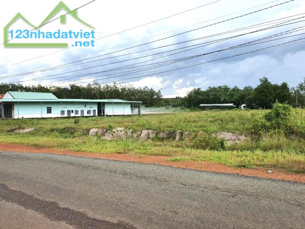 KẸT TIỀN SANG GẤP 2.650M2 GÓC 2MT ĐƯỜNG 16M SÁT KCN, CHỢ TIỆN XÂY TRỌ - 2