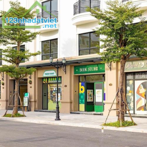 Độc quyền quỹ ngoại giao căn nhà liền kề tại Vinhome Golden Avenue Móng Cái, cạnh Cửa Khẩu - 5