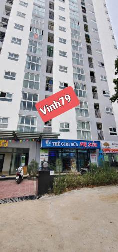 Căn Shophouse mặt tiền kinh doanh Đường Âu Cơ - Tầng 1, P. Hòa Khánh Bắc, Liên Chiểu - 3