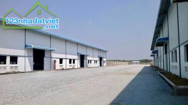 KẸT TIỀN SANG GẤP 2.380M2 ĐẤT GẦN KHU CÔNG NGHIỆP ĐÔNG DÂN, NGAY TRƯỜNG CHỢ. GIÁ 170 TR/SỔ - 5