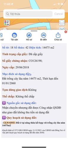 Chính chủ cần bán Rẫy điều đất đỏ 1.4ha điện nước sổ hồng đầy đủ. - 5