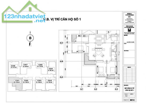 BÁN GẤP CĂN HỘ CAO CẤP NGOẠI GIAO ĐOÀN 132M2 - HỎI MUA LÀ BÁN. - 1