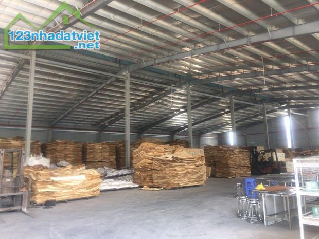 Cho thuê nhà xưởng phòng cháy nghiệm thu 8000m2 khu vực Thiện Kế, Bình Xuyên, Vĩnh Yên - 1