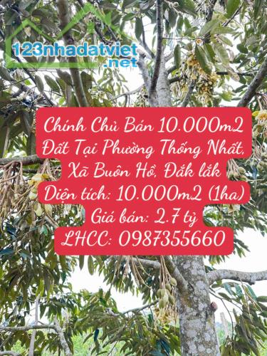 Chính Chủ Bán 10.000m2 Đất Tại Phường Thống Nhất, Xã Buôn Hồ, Đắk lắk