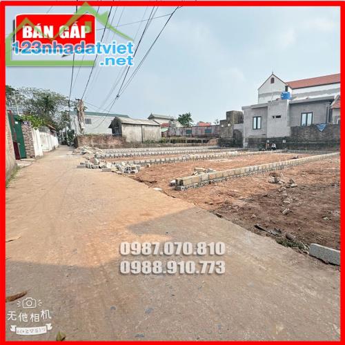 Bán đất thổ cư tại xã Tự Nhiên, Thường Tín, Hà Nội, Giá chỉ 2x triệu/m, 92m2