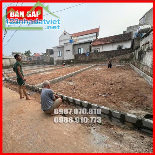 Bán đất thổ cư tại xã Tự Nhiên, Thường Tín, Hà Nội, Giá chỉ 2x triệu/m, 92m2 - 2