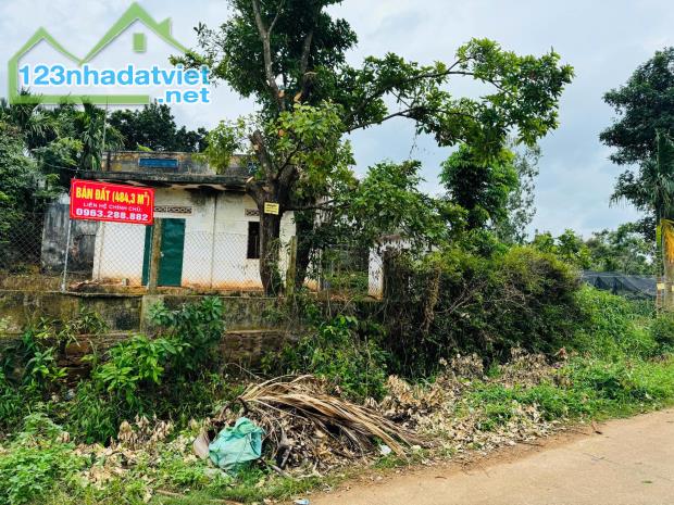 Bán 484,3m2 Đất Chính Chủ Có 1 Căn Nhà Nhỏ và Trồng Hoa Màu Tại Ea Tiêu, huyện Cư Kuin, - 1