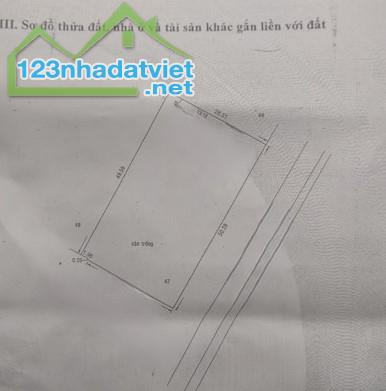 HIẾM, BÁN NHÀ MẶT TIỀN GẦN NGUYỄN VĂN BÁ, THỦ ĐỨC, XÂY 21 TẦNG, 1433M2, NGANG 50m, 290T - 2