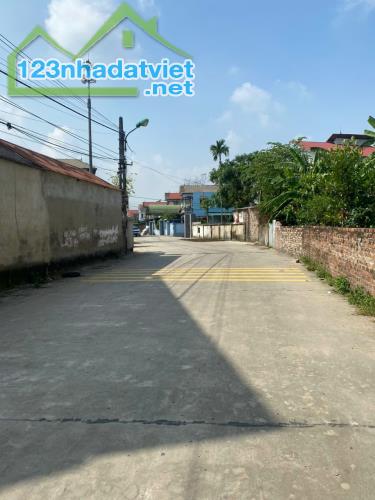 Thửa đất ô tô thông, 80m2. Full thổ, mt5m, Ninh Môn, Sóc Sơn. 2.080 tỷ. - 1