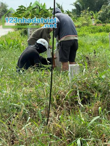 Cần Bán Đất Giá Bán 1,25 Tỷ Vnd Tại Xã Bình Tâm, Tân An, Long An - 1