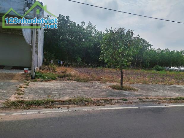 CẦN BÁN 2.000M2 SỔ RIÊNG THỔ CƯ, SÁT CHỢ VÀ NHÀ MÁY - 2