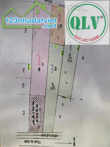 Bán đất xây xưởng 24.736m2 tại mặt tiền DT824 Đức Hòa, Long An - 2