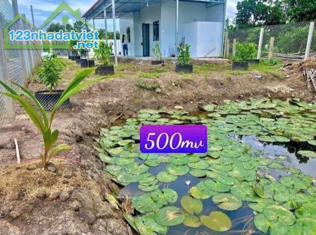 cần bán gấp mảnh đất 500m2 có sẵn nhà cấp 4, 550tr, vườn + nhà +ao cá