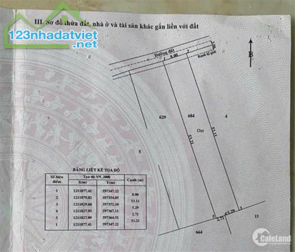 ĐẤT chính chủ Cần Bán nhanh lô đất vị trí đẹp tại xã Bình Mỹ, huyện Củ Chi, TPHCM - 4