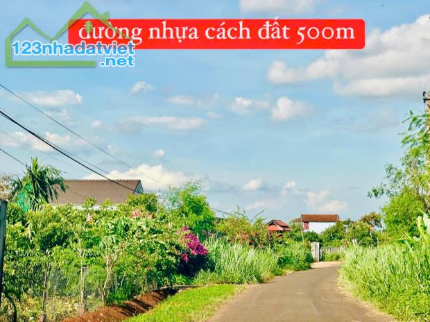 Bán Đất view ruộng xinh đẹp chỉ 239tr đường ô tô gần KCN 75ha Phú Xuân-Krong Năng