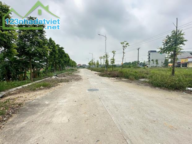 Bán đất đấu giá Lai Sơn, Đồng Tâm, Vĩnh Yên. DT 100m2 - 1