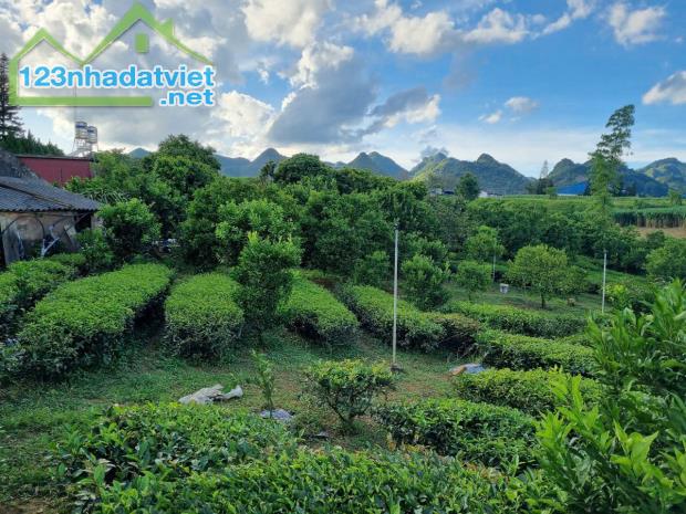 Bán lô đất view đồi chè cực đẹp ngay trung tâm thị trấn Nông Trường, Mộc Châu - 1