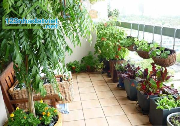 Siêu phẩm nhà lô góc 69m2, 5 tầng, vị trí vàng Trường Chinh, nội thất gỗ lim, giá 16 tỷ - 1