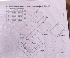 BÁN BIỆT THỰ CAO CẤP CÓ HỒ BƠI TẠI PHƯỜNG 10 TÂN BÌNH - 2