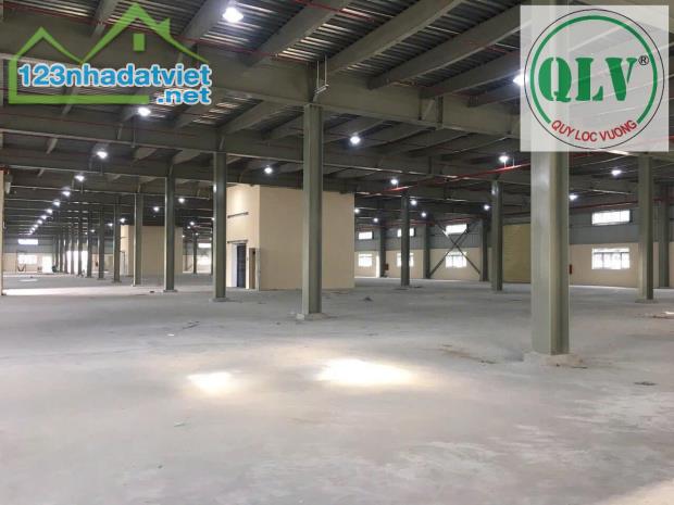 Cho thuê nhà xưởng 10.080m2 tại KCN Thịnh Phát, Bến Lức, Long An - 2