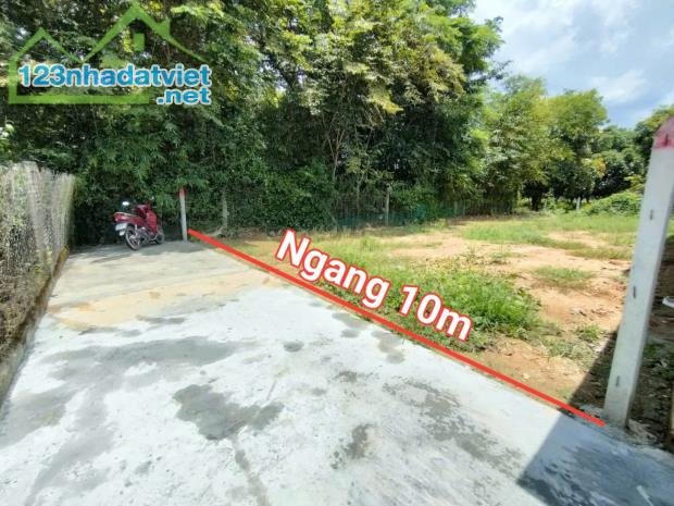 Bán đất Diên Lâm giá rẻ sát bên Hương Lộ 39 - cách chợ 900m - 1