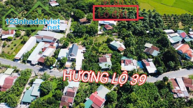 Bán đất Diên Lâm giá rẻ sát bên Hương Lộ 39 - cách chợ 900m - 4