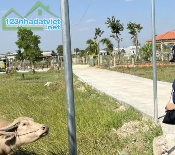 Đất gần bên đường Nhựa,gần KDC Rạng Đông-Hàm Liêm-Hàm Thuận Bắc-DT 1.000m2,MT 23m - 3