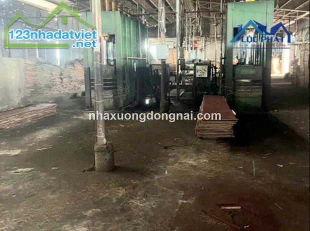 Bán đất nhà xưởng gần 1ha SKC tại Đồng Xoài Bình Phước giá chỉ 22 tỷ - 1